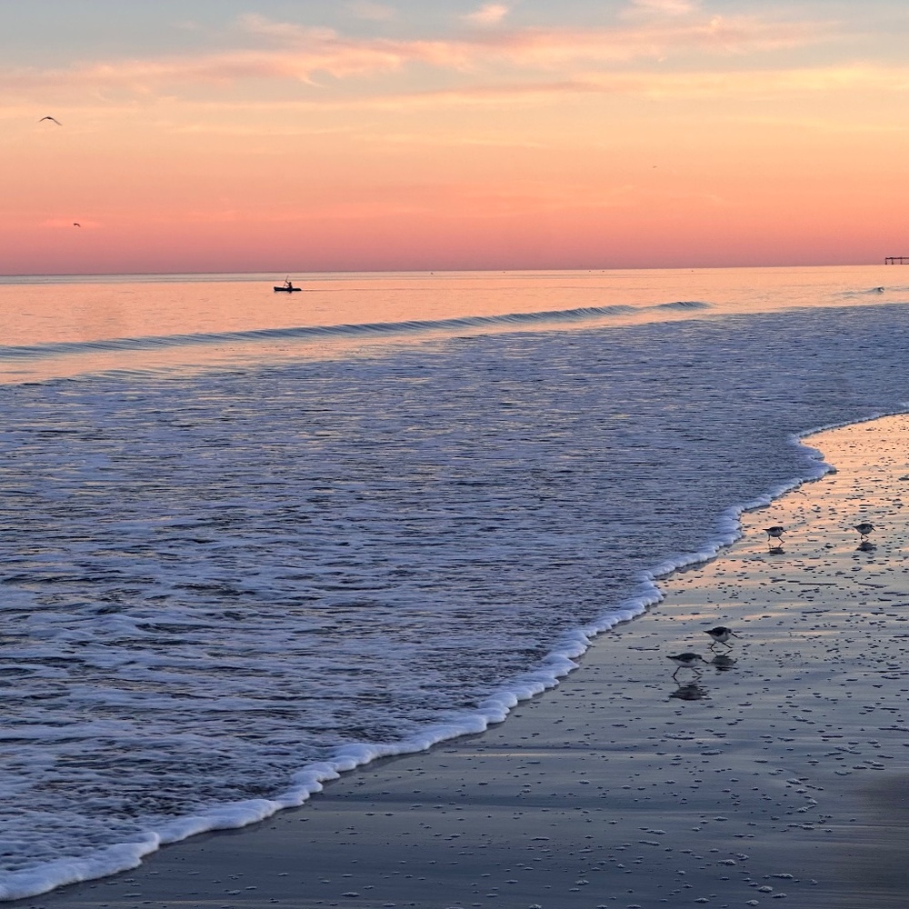 Welcome to Life at the beach, Sea Shore Style!